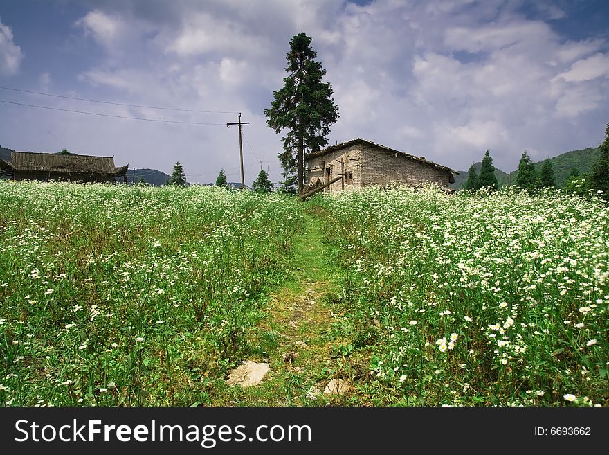 This is a  landscape photo of village