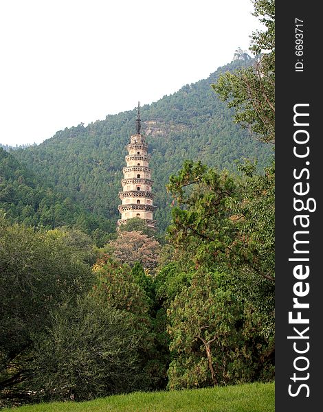 Buddhist Tower in forest, Shandong Province, China