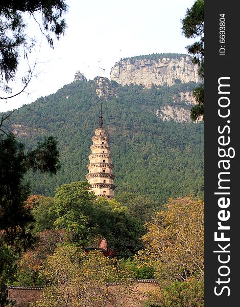 Buddhist Tower in forest, Shandong Province, China