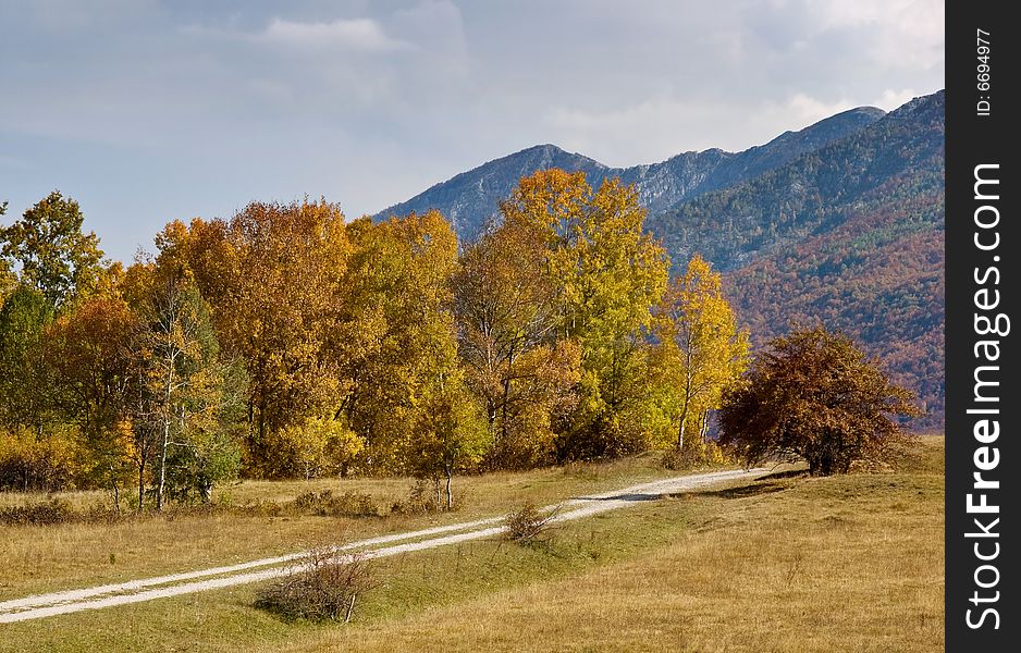 Old road is passing autemn forest in the mountains