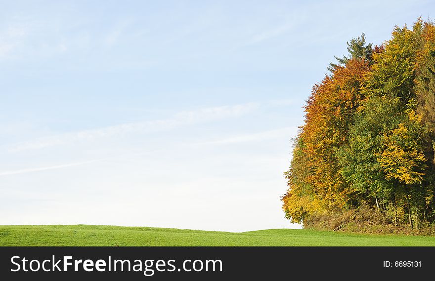 Autumn scene in germany. forest infront of cloudy sky. Autumn scene in germany. forest infront of cloudy sky