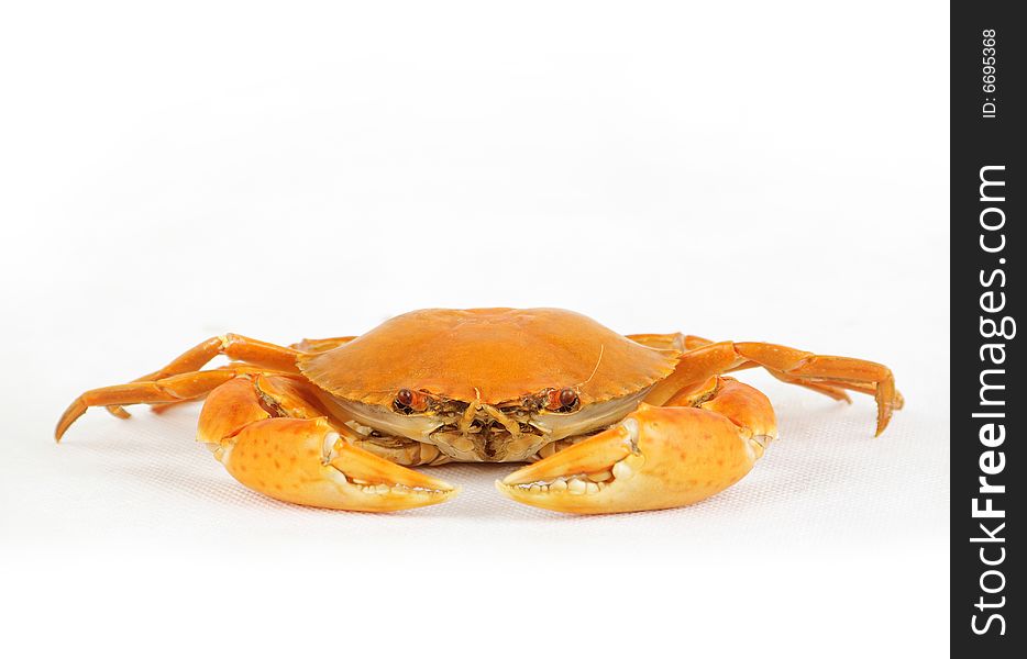 Boiled crab