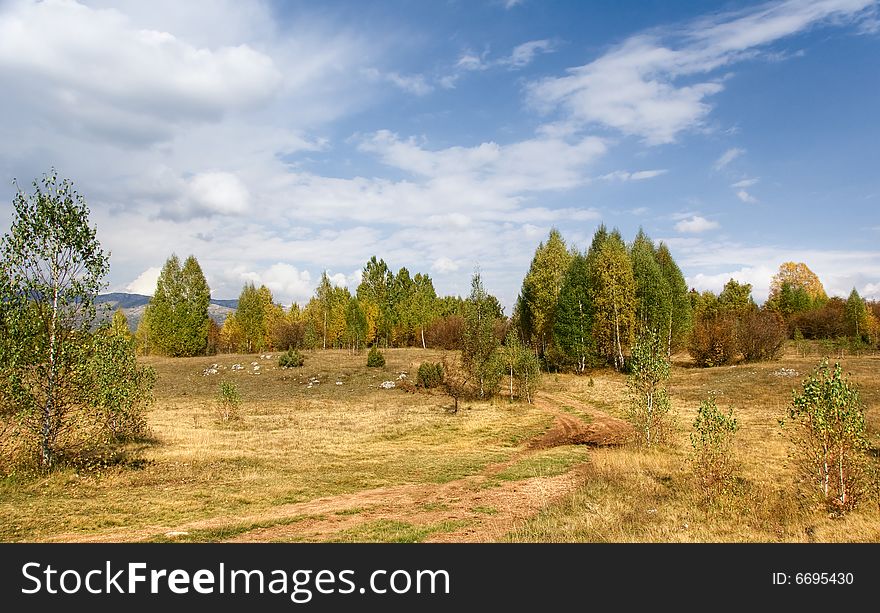 Rural landscape with old road