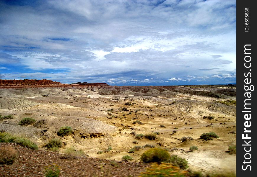 The desolate landscape of the Petrified Forest