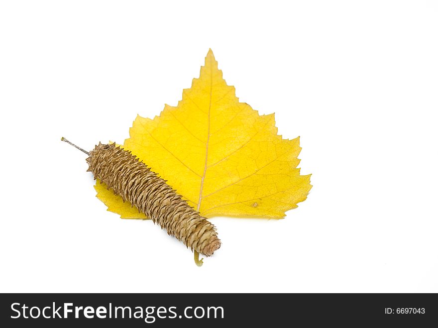 Yellow leaves and birch ear-rings on a white background