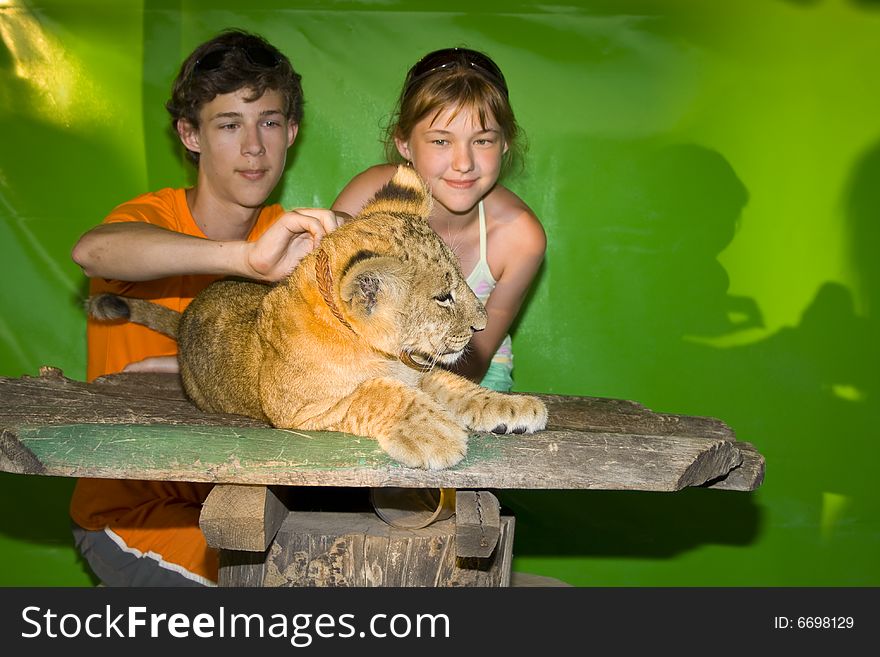 The guy and the girl together caress a young lion. The guy and the girl together caress a young lion