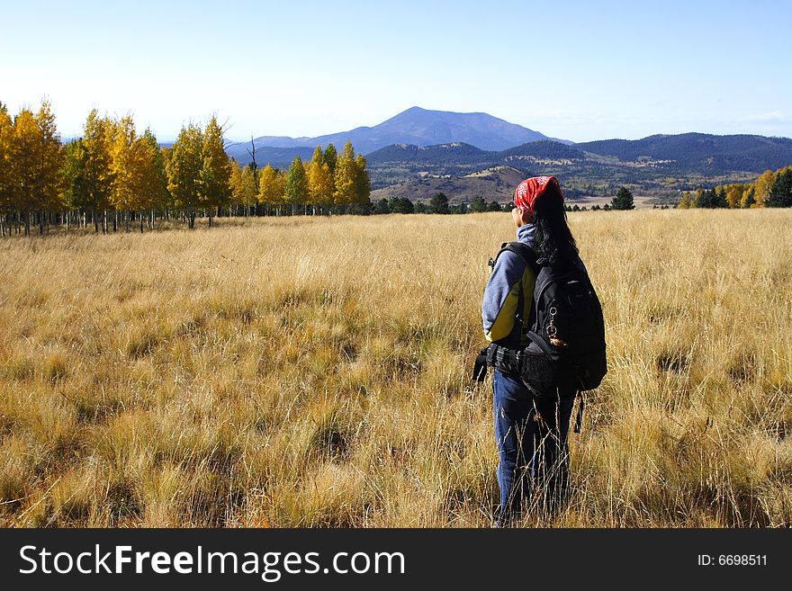 Traveler is visiting fall color county, flagstaff, arizona. Traveler is visiting fall color county, flagstaff, arizona