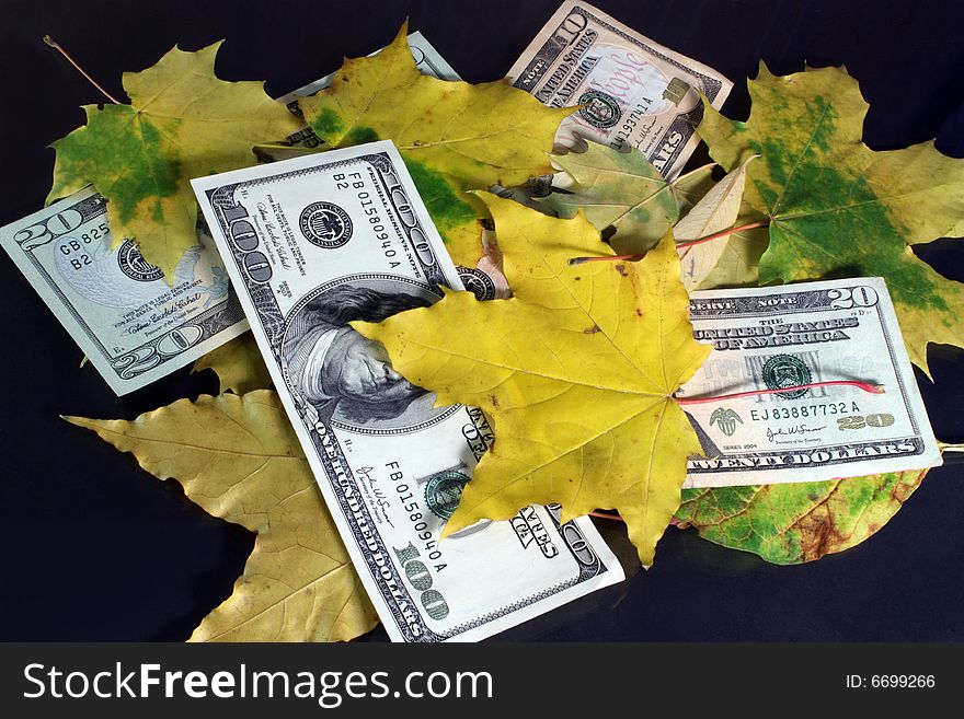 Dollars together with yellow leaves on a black background. Dollars together with yellow leaves on a black background