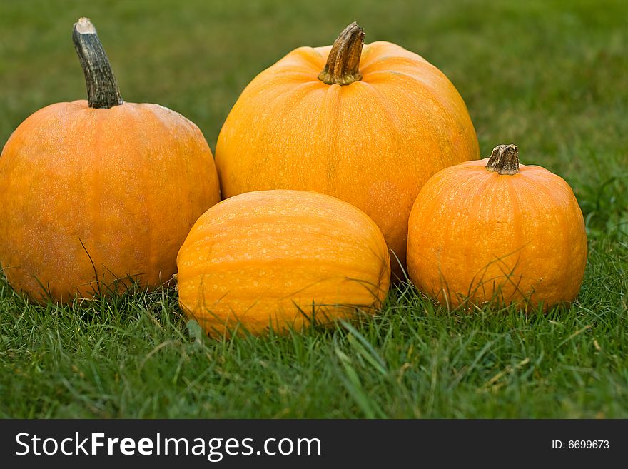 Pumpkins on the green grass