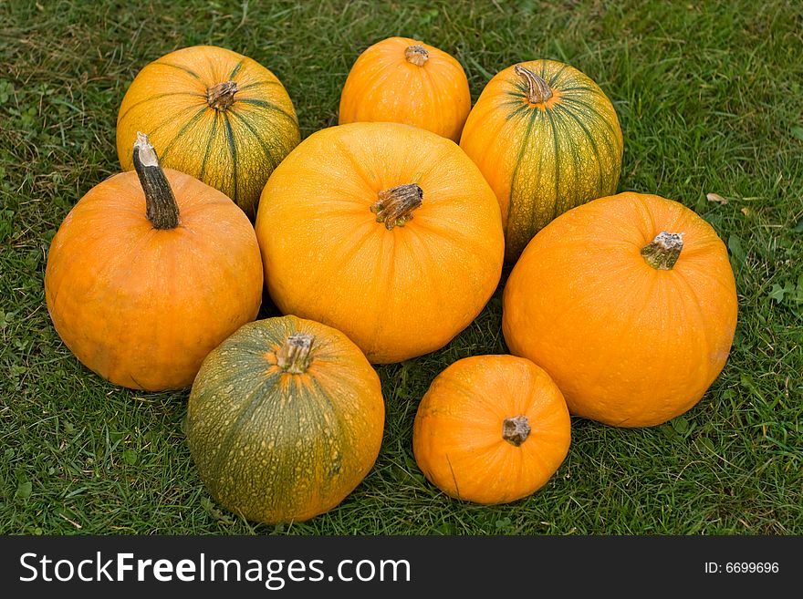 Pumpkins on the grass - top view