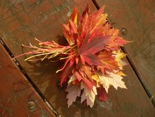 Maple Lefs Bouquet Royalty Free Stock Photo Maple Lefs Bouquet Royalty Free Stock Photo