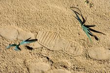 Footprints In The Sand On A Spanish Beach Royalty Free Stock Photography Footprints In The Sand On A Spanish Beach Royalty Free Stock Photography
