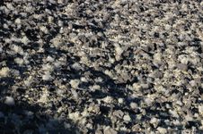 Lava Rocks And Grass Stock Images Lava Rocks And Grass Stock Images