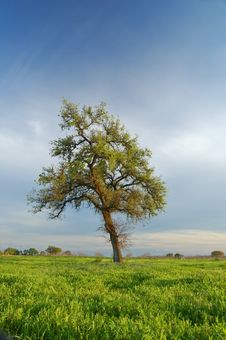 Springtime Landscape Stock Photography Springtime Landscape Stock Photography