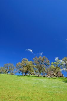 Springtime Landscape Stock Image Springtime Landscape Stock Image