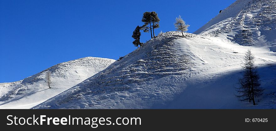 Snow covered hills with tree