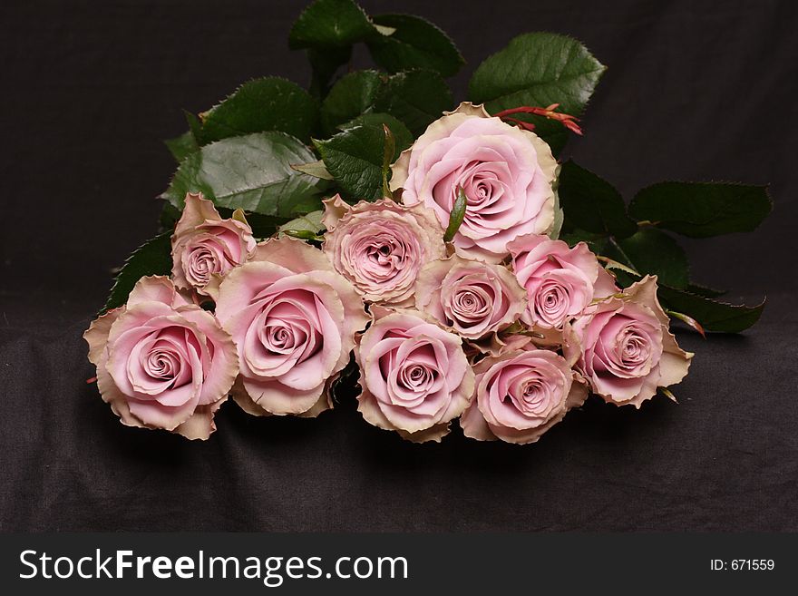 Bunch of pink roses on the table