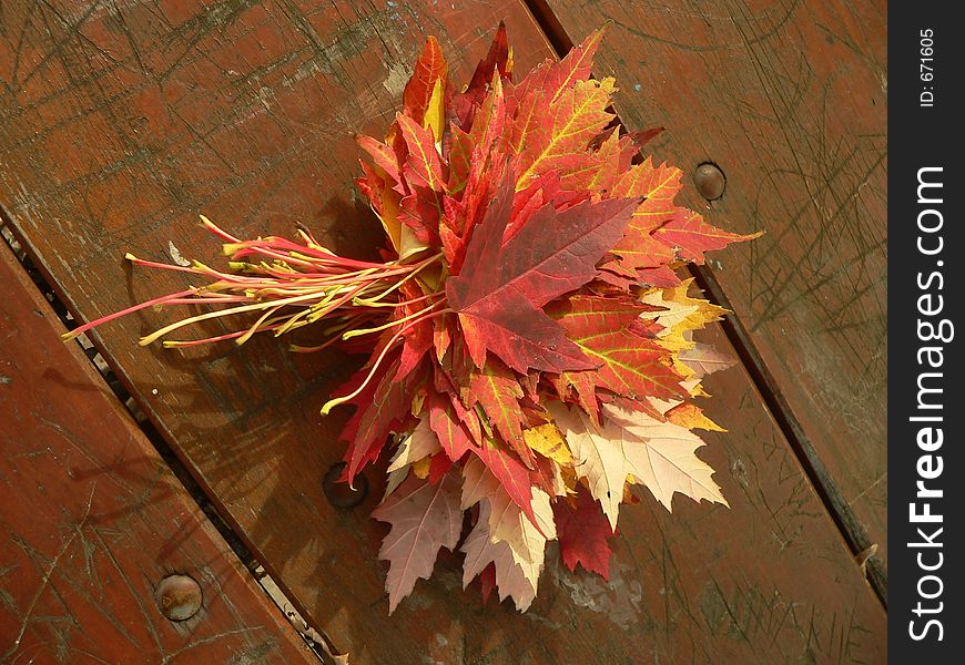 Maple lefs bouquet on unifor background - easy to isolate