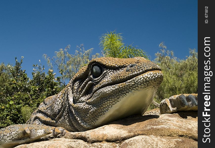 This image of lizard on rock was made at a local park on the gold coast, queensland, australia