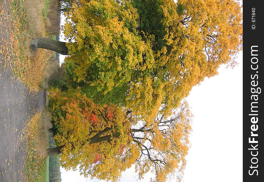 Autumnal Wiev