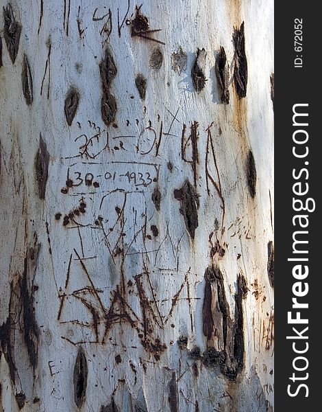 Old, bare tree trunk with names and dates etched in it. Old, bare tree trunk with names and dates etched in it