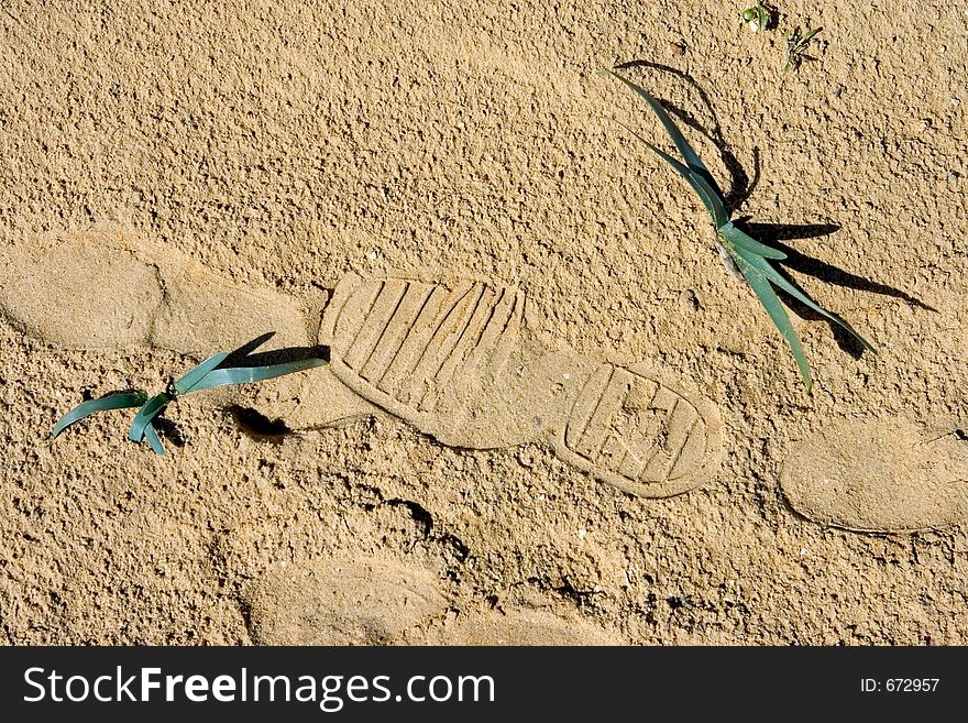 Footprints in the sand on a Spanish beach