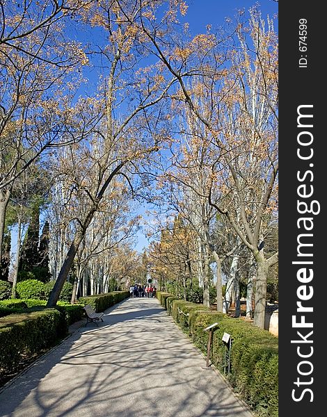 Beautiful gardens of the ancient Alhambra Palace in Granada on the Costa del Sol in Spain. Beautiful gardens of the ancient Alhambra Palace in Granada on the Costa del Sol in Spain