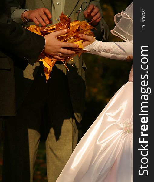 The groom, the bride and the witness hold yellow leaves. The groom, the bride and the witness hold yellow leaves