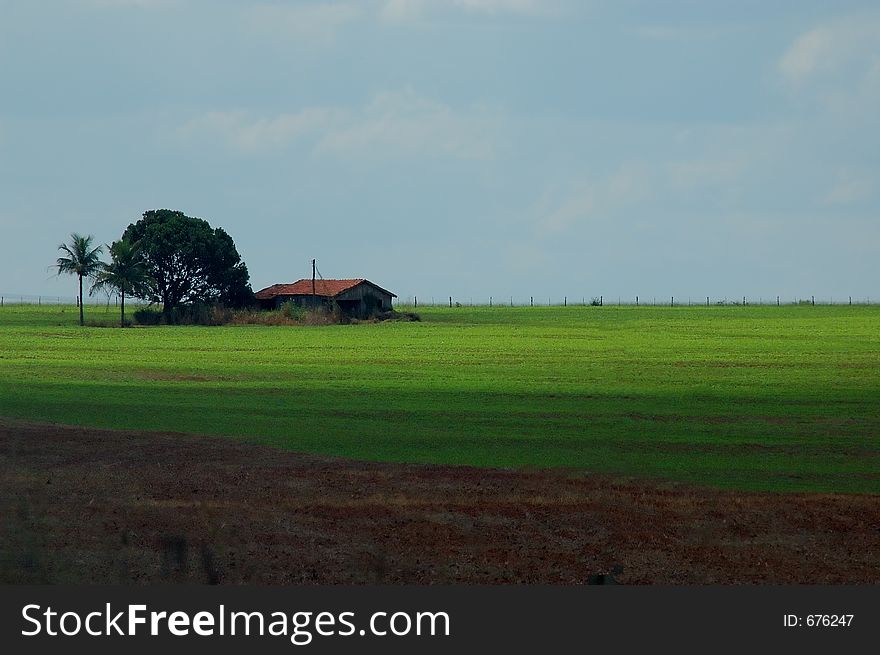 A home in the field