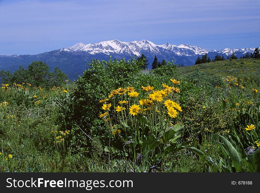 Eagle Cap Mountain