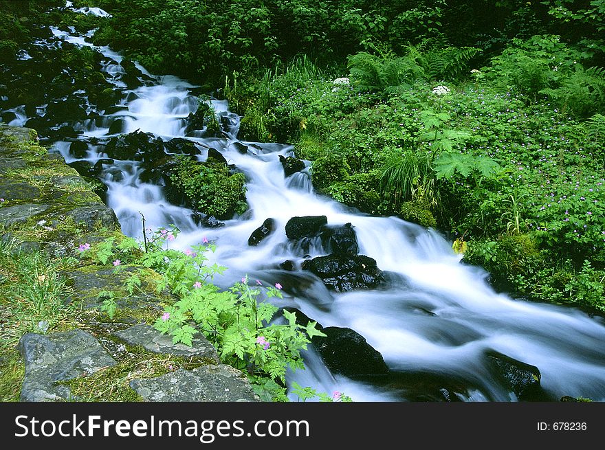 Near Wahkeena Falls, Columbia Gorge, OR. Near Wahkeena Falls, Columbia Gorge, OR.