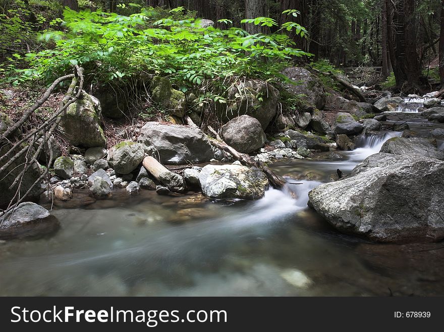 Flowing water through the forest, Limekiln State Park California. Flowing water through the forest, Limekiln State Park California