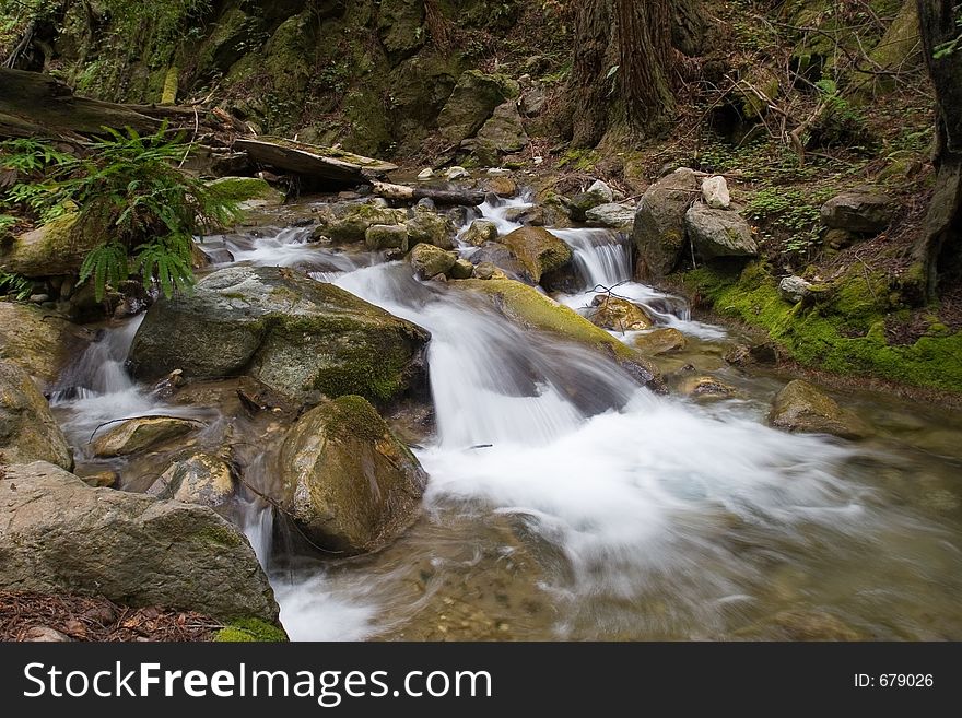 Flowing water through the forest, Limekiln State Park California. Flowing water through the forest, Limekiln State Park California