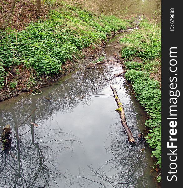 A brook crosses the spring forest. A brook crosses the spring forest.