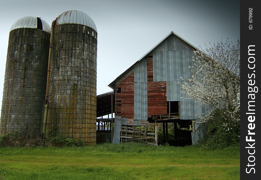 Old barn and silos off the side of the road,built around 1900 the foundation is filled with water a wild cherry tree is blooming and the grain bins are still in good shape. Old barn and silos off the side of the road,built around 1900 the foundation is filled with water a wild cherry tree is blooming and the grain bins are still in good shape