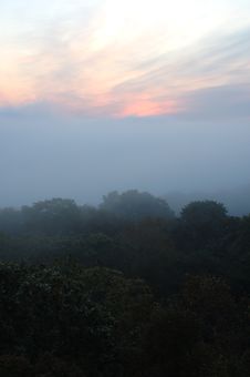 Foggy (hazy) Forest And Scarlet Sunrise. Stock Photos