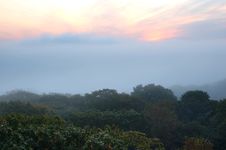 Foggy (hazy) Forest And Scarlet Sunrise. Royalty Free Stock Photo