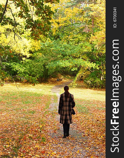 Young woman walking in an autumn park. Young woman walking in an autumn park
