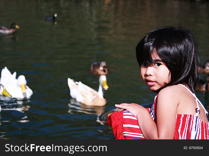 A little girl feeding and playing with the ducks. A little girl feeding and playing with the ducks