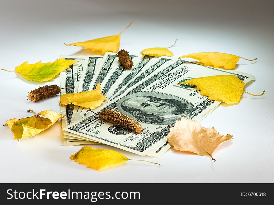 Pack of dollars of the USA and birch leaves on a white background