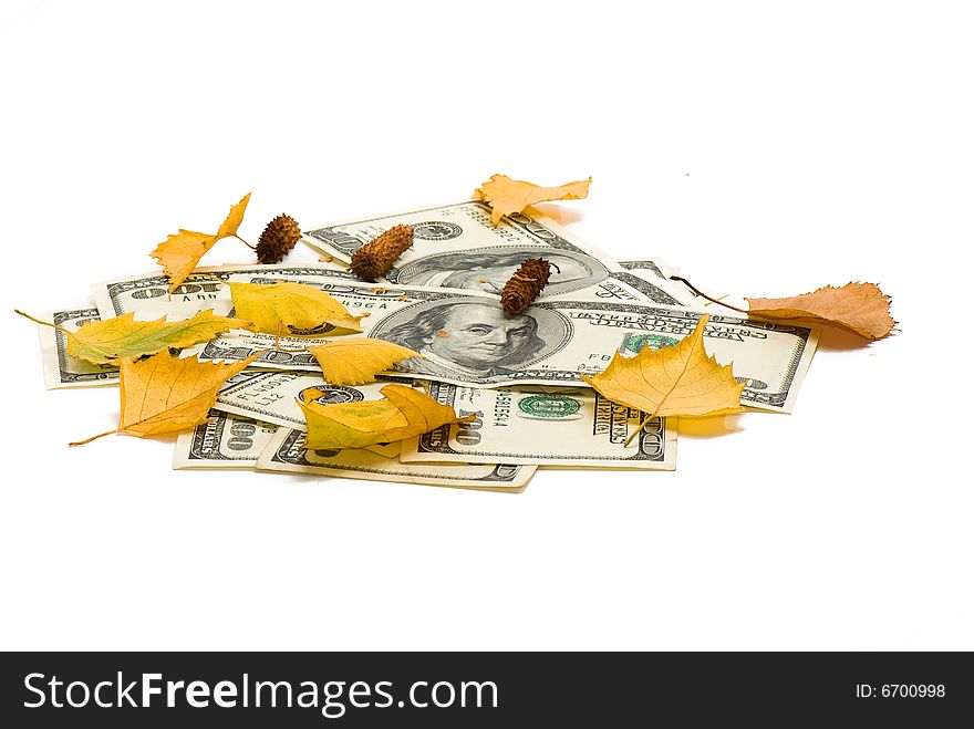 Pack of dollars of the USA and birch leaves on a white background