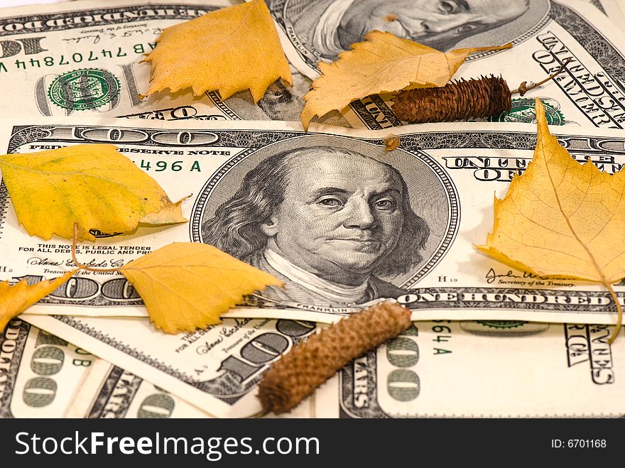 Pack of dollars of the USA and birch leaves on a white background