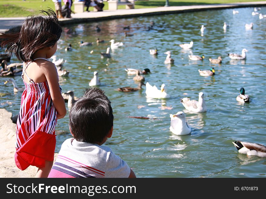 A little girl and boy feeding and playing with the ducks. A little girl and boy feeding and playing with the ducks