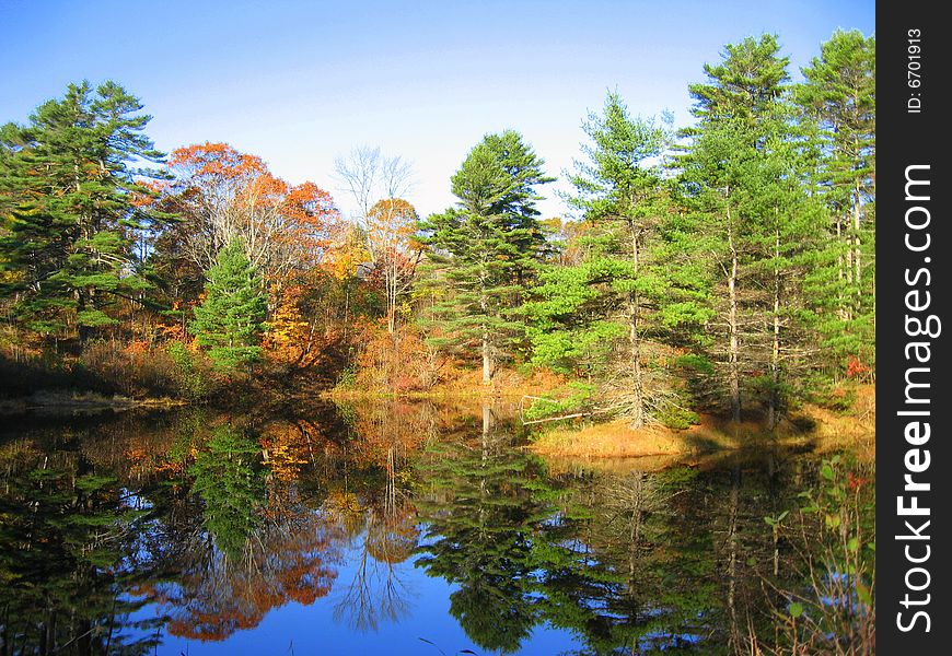 Colorful trees in Autumn, reflecting on a pond in Maine. Colorful trees in Autumn, reflecting on a pond in Maine