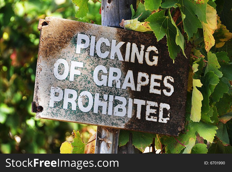 Signage at a vineyard that says no picking of grapes