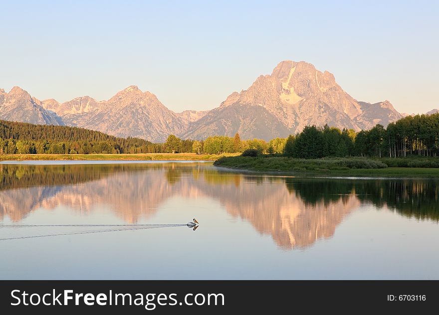 The Oxbow Bend Turnout Area in Grand Teton National Park in the morning light. The Oxbow Bend Turnout Area in Grand Teton National Park in the morning light