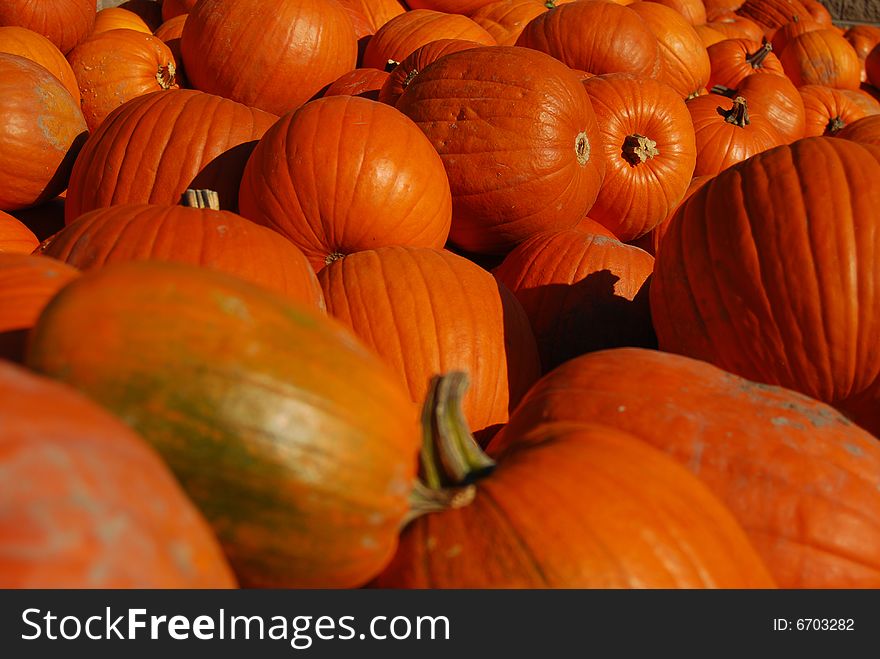 Bunch of pumpkins on a farmers market