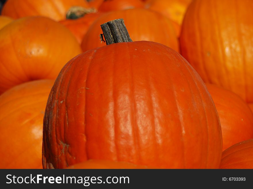 Bunch of pumpkins on a farmers market