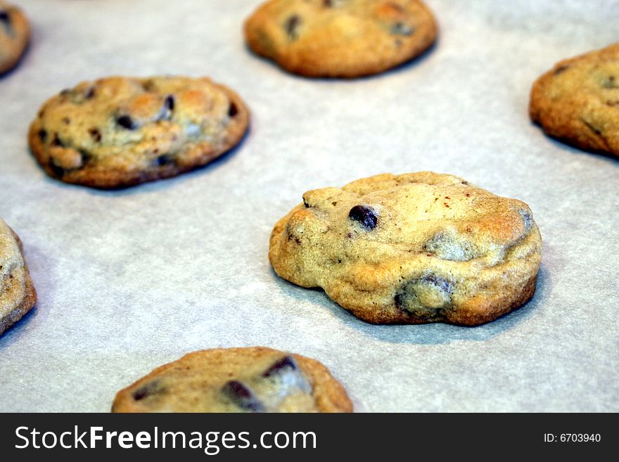 Freshly baked chocolate chip cookies on parchment paper