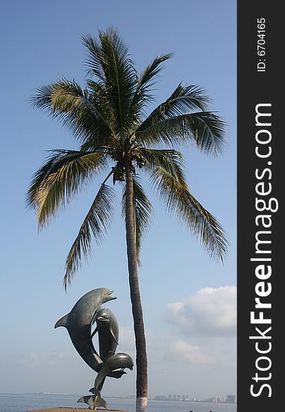 A dolphin statue in front of a tall palm tree, both of which are very close to the ocean at Puerto Vallarta. A dolphin statue in front of a tall palm tree, both of which are very close to the ocean at Puerto Vallarta
